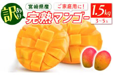 《2026年発送先行予約》【数量・期間限定】宮崎特産品「訳あり」宮崎県産完熟マンゴー 1.5kg(3玉～5玉)_M275-005