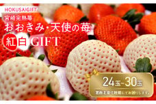 《2025年発送》【期間・数量限定】HOKUSAIGIFT宮崎完熟苺おおきみ・天使の苺紅白_M279-001