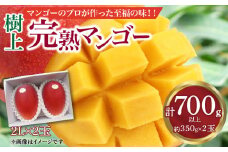 《2024年発送》樹上完熟マンゴー2L×2玉_M271-003