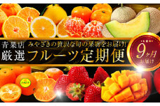 青果店厳選！「くだもの定期便Vol.1」（全9回）｜フルーツ定期便｜_M153-004