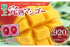 《2024年発送》樹上完熟マンゴー3L×2玉_M271-005