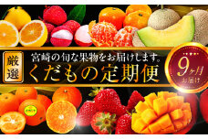 青果店厳選！「くだもの定期便Vol.2」（全9回）｜フルーツ定期便｜_M153-005