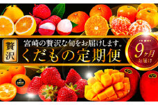 青果店厳選！「くだもの定期便Vol.3」（全9回）｜フルーツ定期便｜_M153-007
