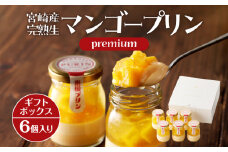 【宮崎産】完熟生マンゴープリンpremium【6個ギフトボックス】_M158-004
