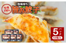 牧場育ち 牛肉100％旨み餃子（餃子12個パック×5）_M297-001