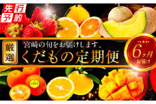 《2025年発送先行予約》【数量・期間限定】青果店厳選！「6ヶ月お届け！くだもの定期便Vol.1」_M153-T025