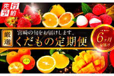 《2025年発送先行予約》【期間・数量限定】青果店厳選！「6ヶ月お届け！くだもの定期便Vol.2」_M153-T026