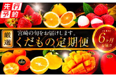 《2025年発送先行予約》【期間・数量限定】青果店厳選！「6ヶ月お届け！くだもの定期便Vol.3」_M153-T027