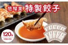 悠瑠里特製餃子120個【宮崎市は餃子購入頻度ランキング ２年連続第１位_M293-002
