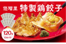 悠瑠里特製鶏餃子120個【宮崎市は餃子購入頻度ランキング ２年連続第１位_M293-004