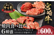 宮崎牛 焼肉食べ比べ6種盛 600g_M243-031