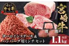 宮崎牛サーロインステーキ&ハンバーグ用ミンチセット 合計1.1kg_M243-034