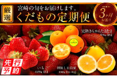 《2025年発送先行予約》【期間・数量限定】青果店厳選！「3ヶ月お届け！くだもの定期便Vol.1」_M153-T021