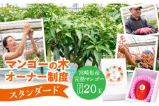 マンゴーの木オーナー制度【スタンダード】_M263-004