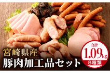 宮崎県産豚肉加工品セット（合計1.09kg 8種類）_M009-009