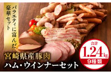 宮崎県産豚肉ハム・ウインナーセット（合計1.24kg 9種類）_M009-010