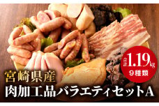 宮崎県産肉加工品バラエティセットA（合計1.19kg 9種類）_M009-011
