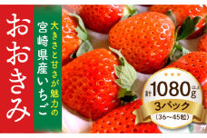 【数量・期間限定】宮崎県産いちご「おおきみ」3パック（計1080g以上：36粒～45粒）_M260-011