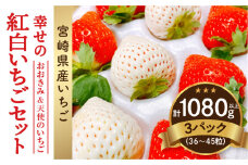 【数量・期間限定】宮崎県産 幸せの紅白いちごセット（おおきみ&天使のいちご）3パック_M260-012