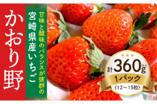 【期間・数量限定】宮崎県産いちご「かおり野」1パック（計360g以上：12粒～15粒）_M260-013