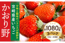【期間・数量限定】宮崎県産いちご「かおり野」3パック（計1080g以上：36粒～45粒）_M260-014