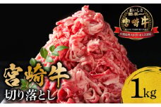 宮崎牛 切り落とし1kg【牛肉 国産】_M299-007