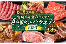 宮崎牛を食べつくす！ぎゅぎゅっとバラエティ定期便(総重量3.85kg)_M132-T002