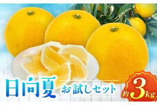 日向夏　お試しセット3kg_M271-006