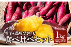 新芋＆熟成やきいもの食べ比べセット1㎏_M086-011