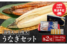 白焼大2尾・蒲焼大2尾セット 冬うなぎ_M069-018