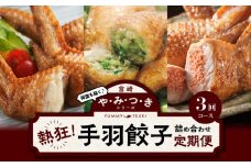 やみつきシリーズ熱狂！手羽餃子詰め合わせ定期便_M025-T2309-2