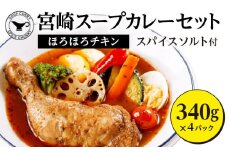 宮崎スープカレーセット(スープカレーほろほろチキン真空冷凍パック、スパイスソルト)_M310-001