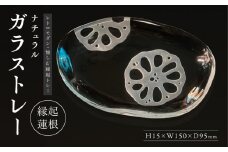 ナチュラル　ガラストレー・縁起蓮根_M311-001