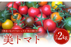 美トマト（5色）２kg_M317-003