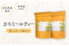 カモミールティー　30パック×2袋セット_M295-003