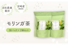 モリンガ茶　30パック×2袋セット_M295-007