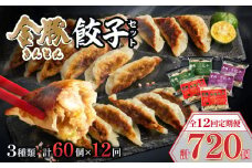 【定期便 全12回】金豚餃子セット（香港餃子・しそ餃子・にら餃子　1パック10個入×各2パック）_M166-T002-12