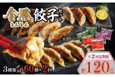 【定期便 全2回】金豚餃子セット（香港餃子・しそ餃子・にら餃子　1パック10個入×各2パック）_M166-T002-2