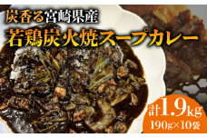 炭香る宮崎県産若鶏炭火焼スープカレー 計1.9kg_M210-009