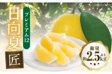 《2025年発送》【期間・数量限定】日向夏「匠」プレミアム12_M279-012
