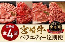 宮崎牛 バラエティー定期便 全4回_M243-T001
