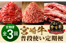 【定期便 全3回(2ヶ月に１回お届け)】宮崎牛 普段使い定期便_M243-T002												