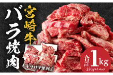 宮崎牛バラ焼肉 合計1kg 宮崎牛バラ焼肉 250g 4パック 1kg 牛肉 肉 お肉 バラ肉 バラ 牛バラ 宮崎県産 国産 和牛 黒毛和牛 黒毛和種 国産牛 国産黒毛和牛 ブランド牛 焼肉 BBQ アウトドア グランピング 食品 精肉 畜産 畜産物 炒め物 アレンジ グルメ お取り寄せ 小分け おすすめ 宮崎市 _M144-020