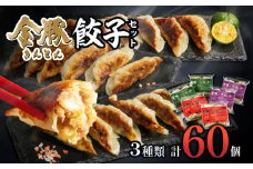 【定期便 偶数月 全6回】金豚餃子セット（香港餃子・しそ餃子・にら餃子　1パック10個入×各2パック）_M166-T002-6