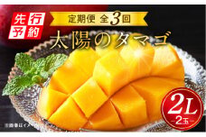 《2025年発送先行予約》【期間・数量限定】太陽のタマゴ2L2玉定期便　全3回_M153-T036