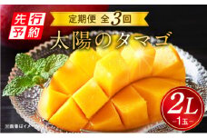 《2025年発送先行予約》【期間・数量限定】太陽のタマゴ2L1玉定期便　全3回_M153-T037