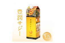 豊潤サジー 1000ml サジージュース【紙パックタイプ】_M327-001