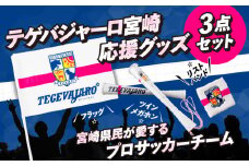テゲバジャーロ宮崎　応援グッズ3点セット_M275-006