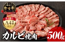 【2025年9月発送】宮崎牛 カルビ焼肉 500g_M243-004-sep