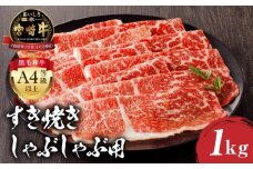 【2025年9月発送予定】宮崎牛モモ すき焼き・しゃぶしゃぶ用 500g×2 合計1kg_M243-012-sep
